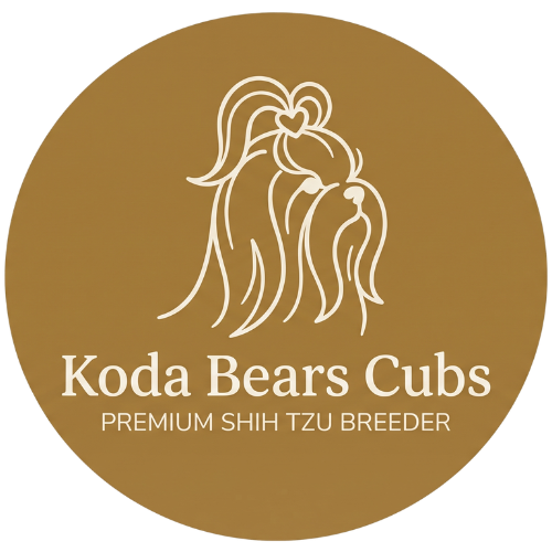 Shih Tzu Koda Bears Cubs